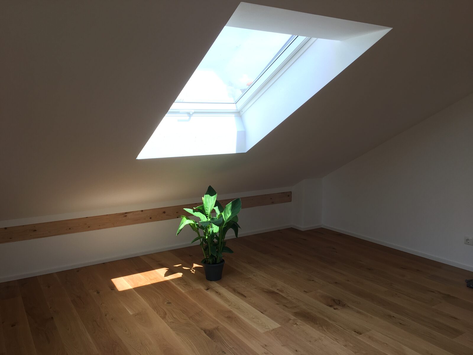 Wohnraum mit Blick in den Garten